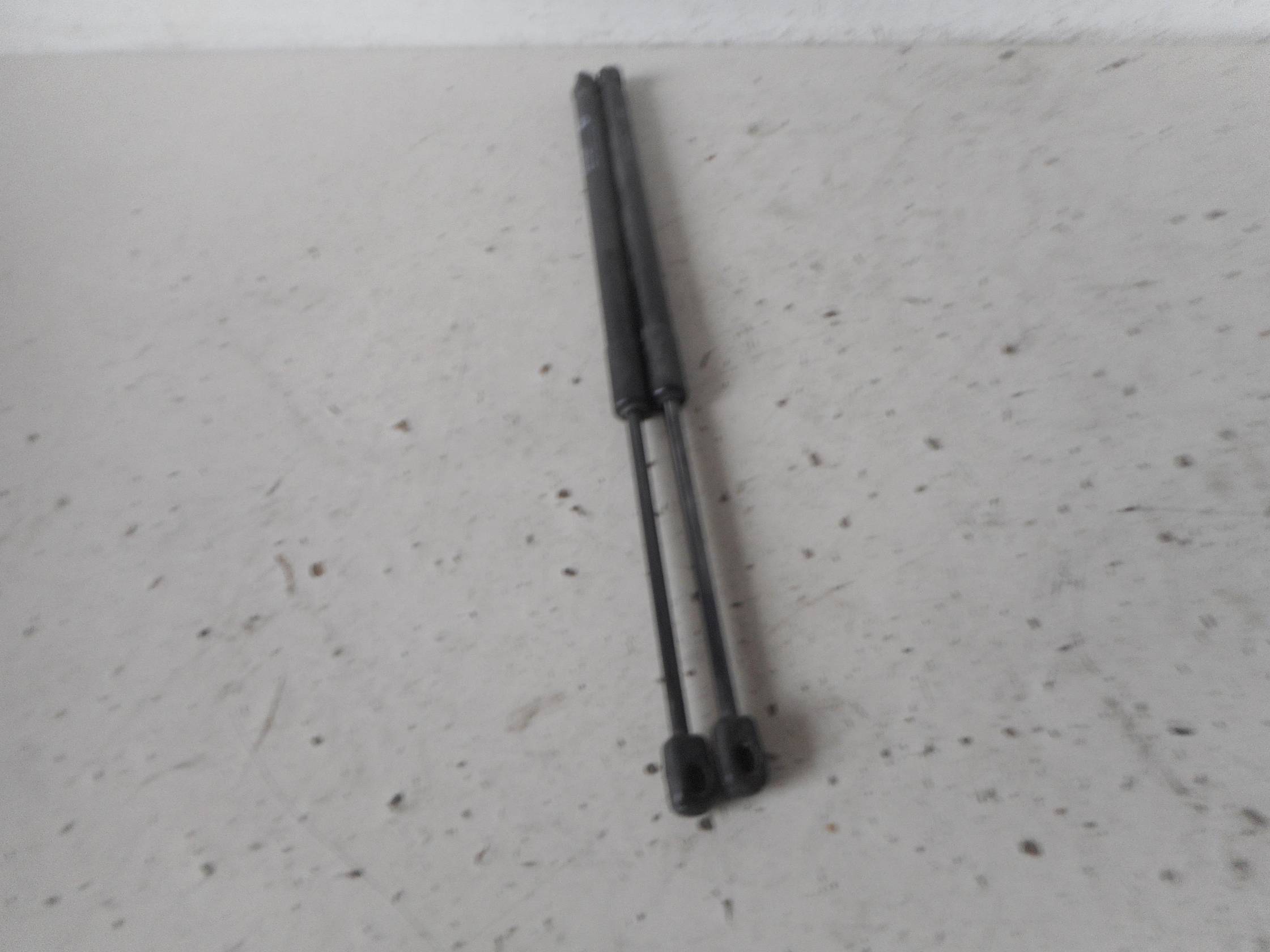 Asta ammortizzante portello post. sx.